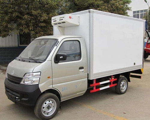 2021年度長(zhǎng)沙到貴陽冷藏貨運(yùn)服務(wù) 冷鏈運(yùn)輸、冷凍貨運(yùn)與食品倉儲(chǔ)一體化解決方案