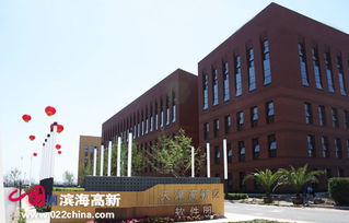 軟件企業(yè)337家領(lǐng)跑市場，濱海新區(qū)引領(lǐng)全市軟件外包服務(wù)新篇章