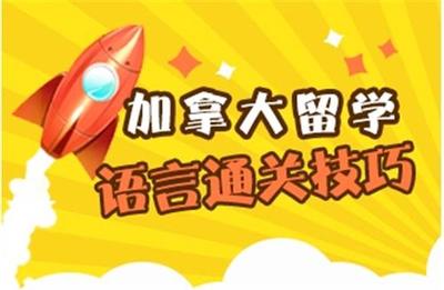 沈陽盈科教育咨詢 專業(yè)規(guī)劃，護(hù)航自費出國留學(xué)之路
